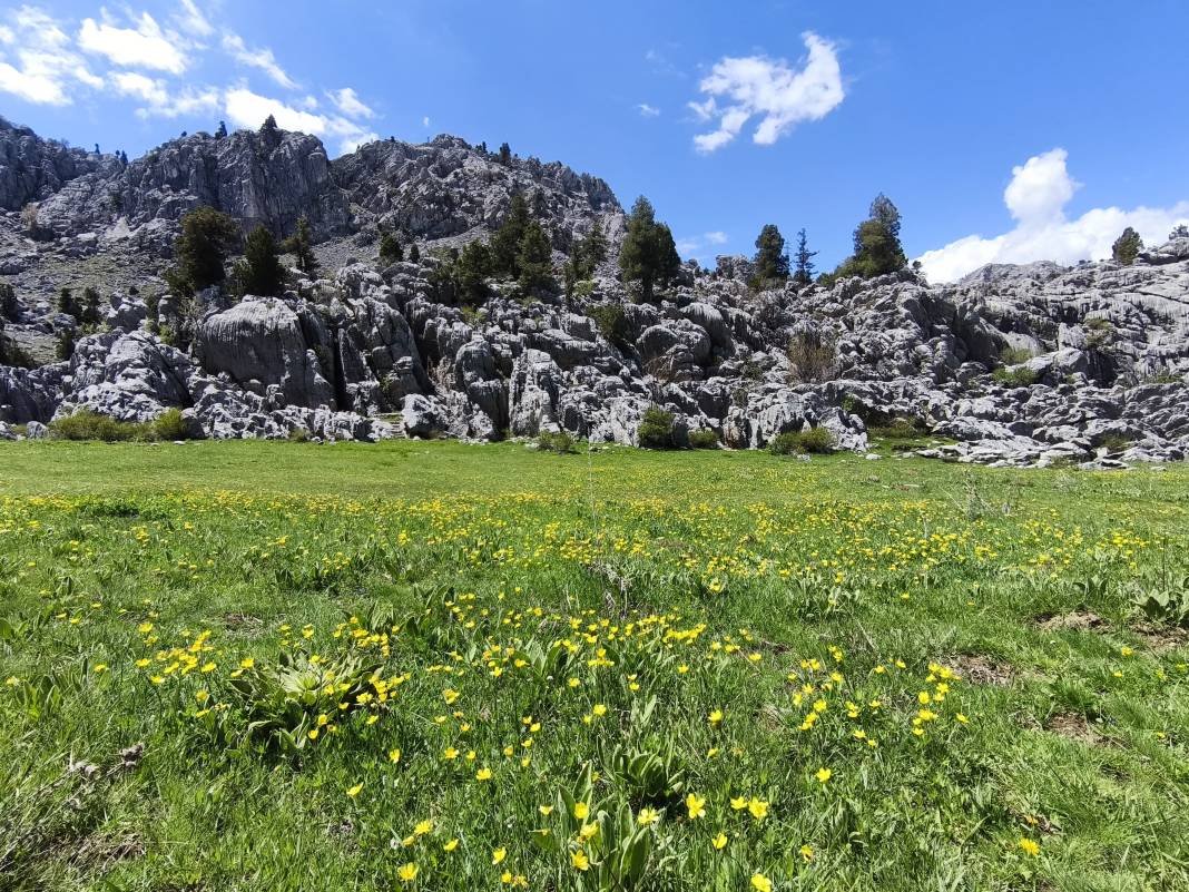 Konya’nın ünlü yaylasında baharın renkli yüzü çıktı 23